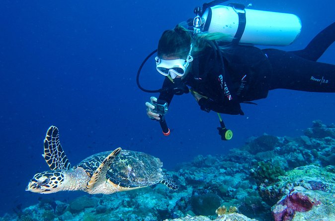 Discover Scuba Diving in Koh Lanta, Thailand - Koh Haa Island: a strong first underwater setting