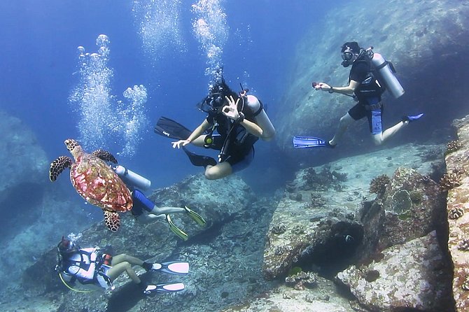 Discover Scuba Diving in Koh Lanta, Thailand - Ko Bida Nok and the final underwater session