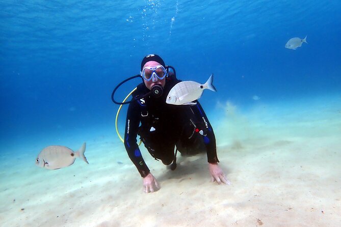 Discover Scuba Diving in Lanzarote (Costa Teguise) - A gentle start beneath Lanzarote’s surface