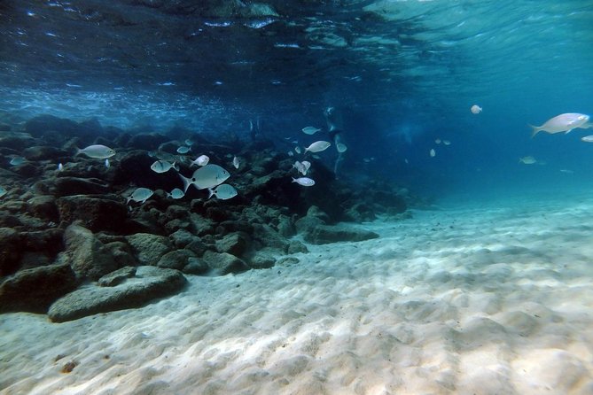 Discover Scuba Diving in Lanzarote (Costa Teguise) - Health, age, and physical demands