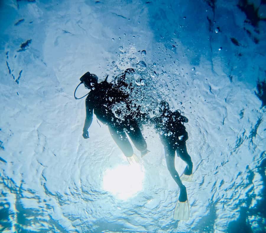 DISCOVER SCUBA DIVING IN LEMORNE with EasydiveMauritius - How the price compares with a certification course