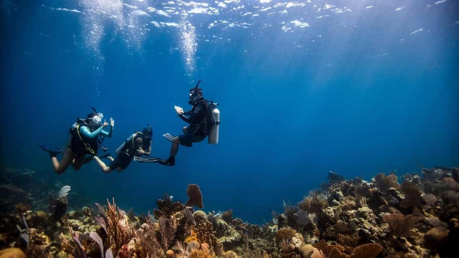 DISCOVER SCUBA DIVING IN LEMORNE with EasydiveMauritius - From the resort to the open water