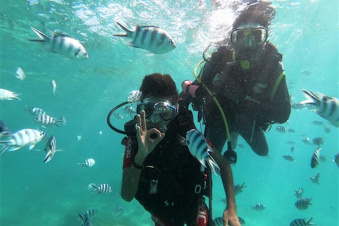 Discover Scuba Diving in Mauritius - What this Mauritius scuba experience really offers