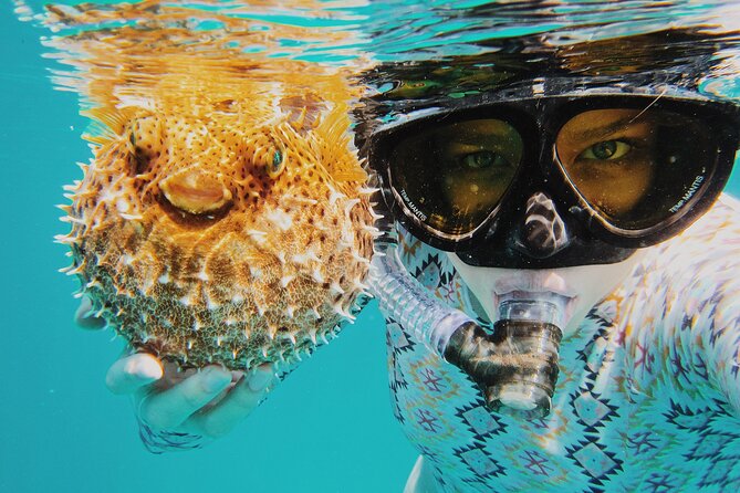 Discover Scuba Diving in Montego Bay-ONE Tank (First time Diving) - Practicing before heading into open water