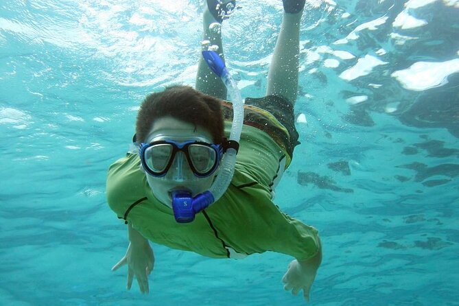 Discover Scuba Diving in Montego Bay-ONE Tank (First time Diving) - The one-tank open-water experience