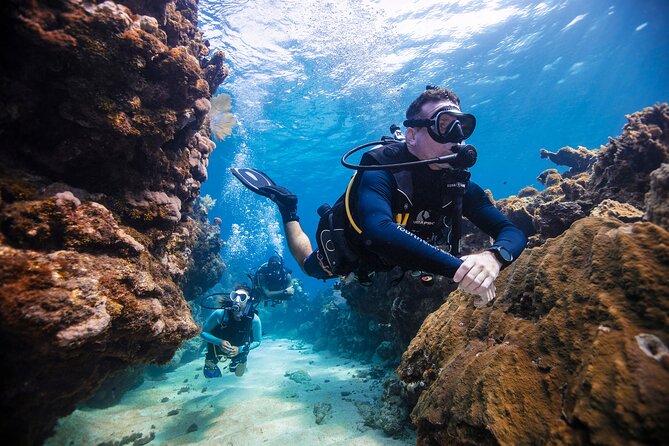 Discover Scuba Diving in Palamos - The Value of Full Equipment and Close Supervision