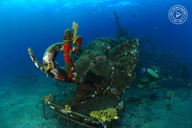 Discover Scuba Diving in Pemuteran at the Biorock site,1 shore dive all included - Why the small group matters