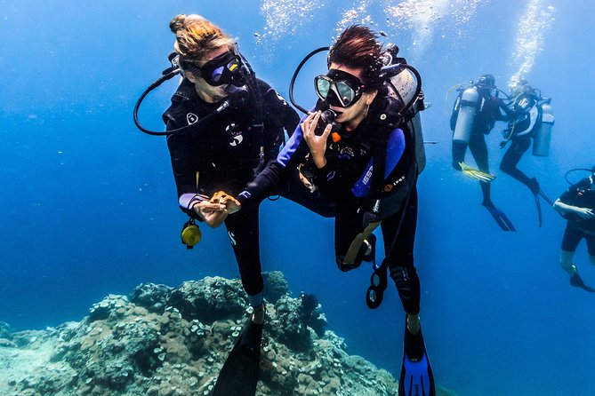 Discover Scuba Diving in Pemuteran - Diving Initiation in Bali (Menjangan Park) - The shallow-water lesson comes first