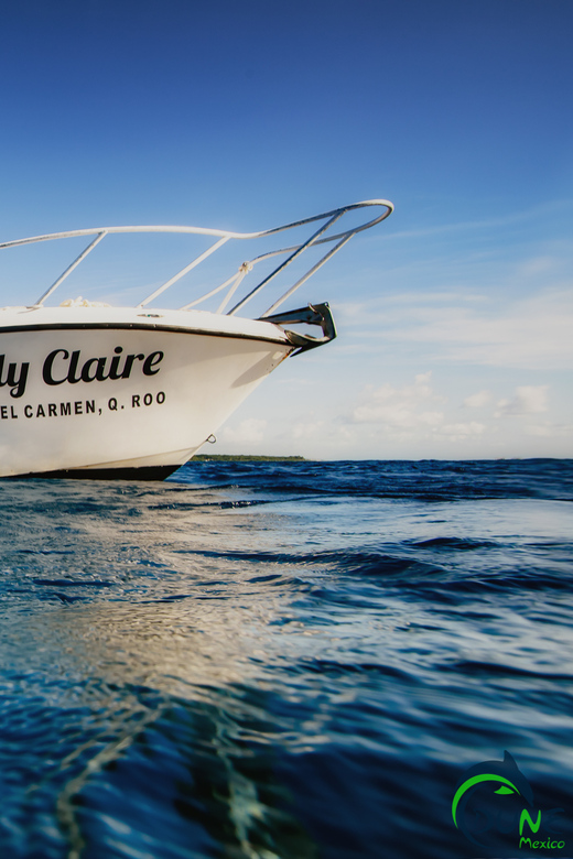Discover Scuba Diving in Playa del Carmen - 2 dives - What $165 buys you
