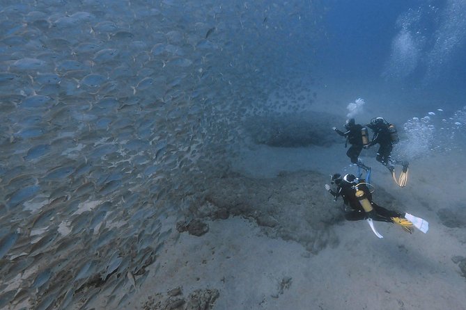 Discover Scuba Diving in Puerto de Mogan - Is the first session worth booking?
