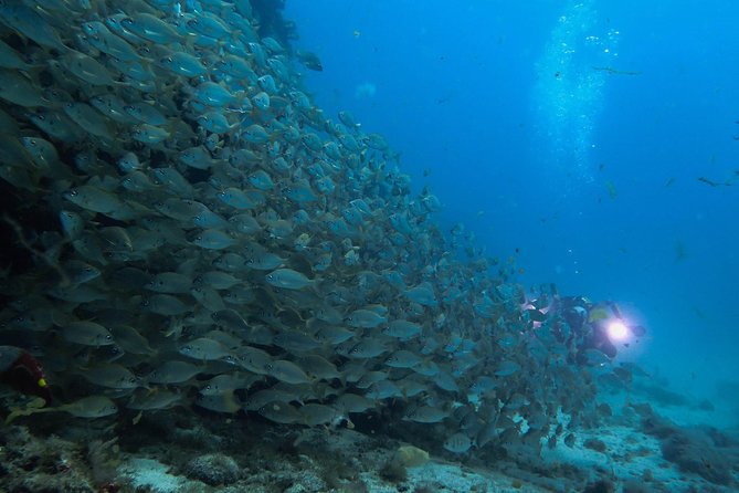 Discover Scuba Diving in Puerto de Mogan - Pool practice before the Puerto de Mogán sea session