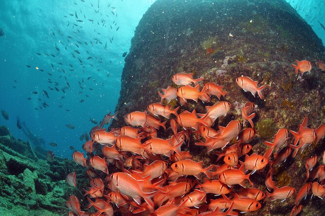 Discover Scuba Diving in Sal - Practical strengths and limits