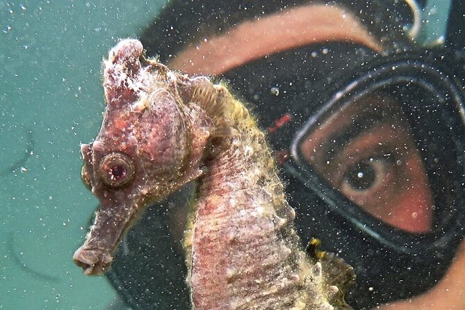 Discover Scuba Diving in San Juan - What the included facilities mean for you