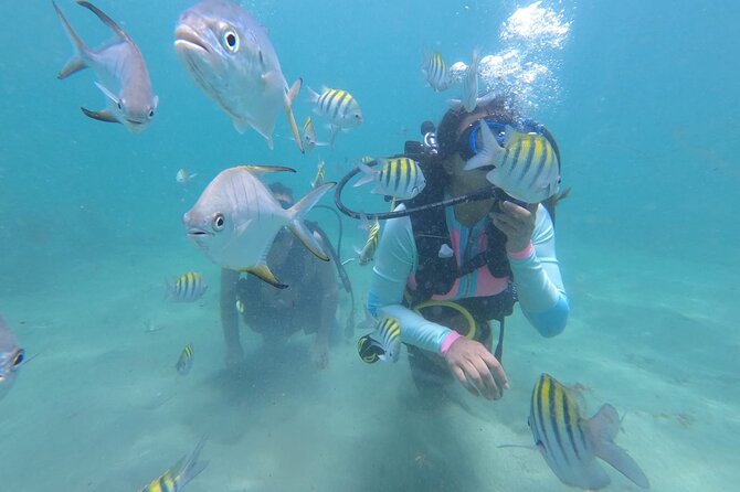 Discover Scuba Diving in San Juan: Perfect for First-Time Divers - A gentle first step into scuba at the Caribe Hilton