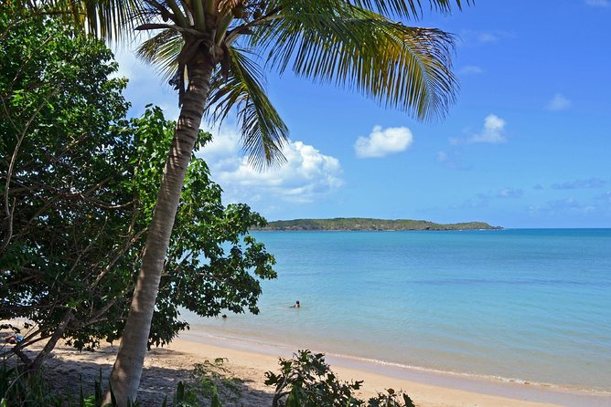 Discover Scuba Diving in San Juan: Perfect for First-Time Divers - Who will enjoy this experience most
