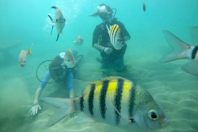 Discover Scuba Diving in San Juan: Perfect for First-Time Divers - Practical details for a smooth arrival