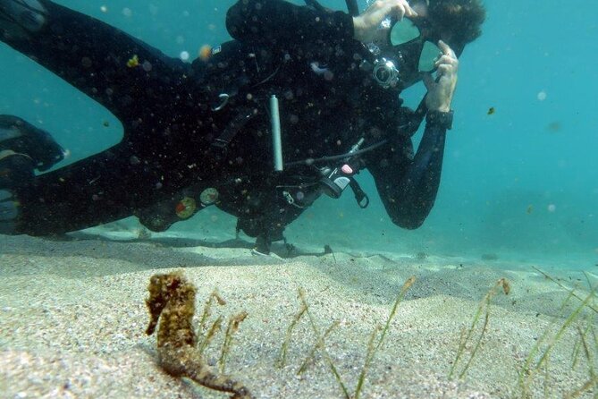 Discover Scuba Diving in San Juan - Forty-five minutes among Escambrón’s reefs