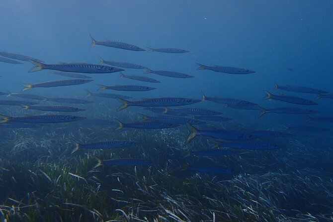 Discover Scuba Diving in Santorini - Getting fitted with the scuba equipment