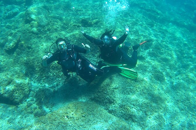 Discover Scuba Diving in Tenerife - Photos and videos turn the session into a souvenir