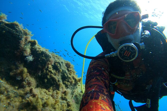 Discover Scuba Diving in Tenerife - Is $78.64 a fair price?