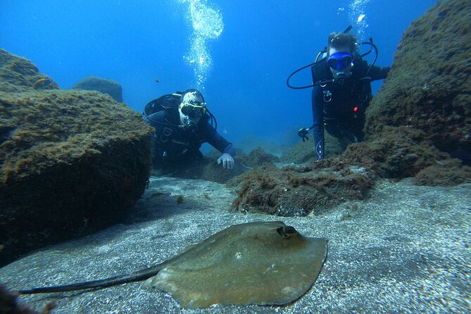 Discover Scuba Diving in Tenerife - Who should book this experience?