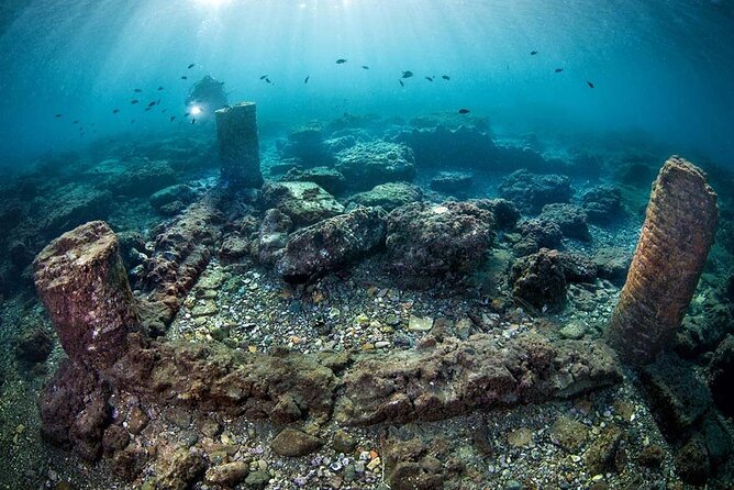 Discover Scuba Diving in the Bay Submerged Park - Key points at a glance
