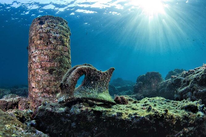 Discover Scuba Diving in the Bay Submerged Park - What the preparation is really like