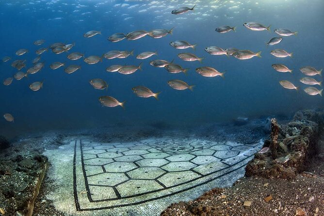 Discover Scuba Diving in the Bay Submerged Park - What is included for $108.02