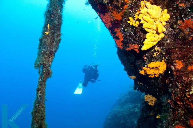 Discover Scuba Diving in the Caldera of the Volcano in Santorini - Key points to know before you book