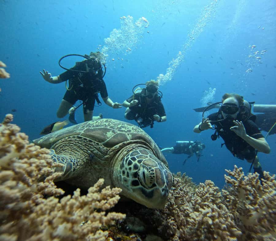 Discover Scuba Diving in the North of Mauritius - Moving from the pool to the sea