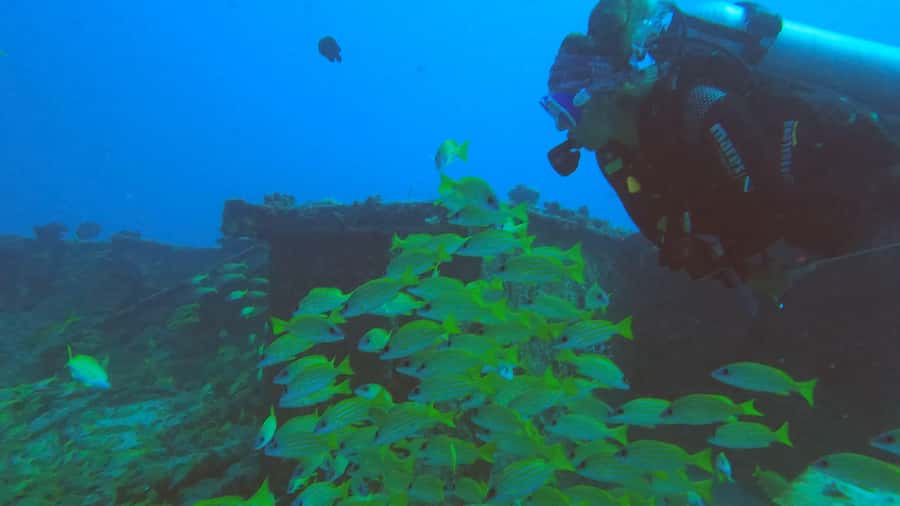 Discover Scuba Diving in the North of Mauritius - Small details that improve the day