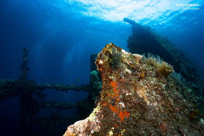 Discover Scuba Diving in Tulamben - Diving Initiation in Bali best diving sites - The Liberty shipwreck, the day’s main reward