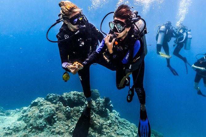 Discover Scuba Diving in Tulamben - Diving Initiation in Bali best diving sites - Coral Garden, your first real underwater setting
