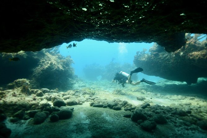 Discover Scuba Diving in Tulum - Why Casa Cenote works for a first scuba experience