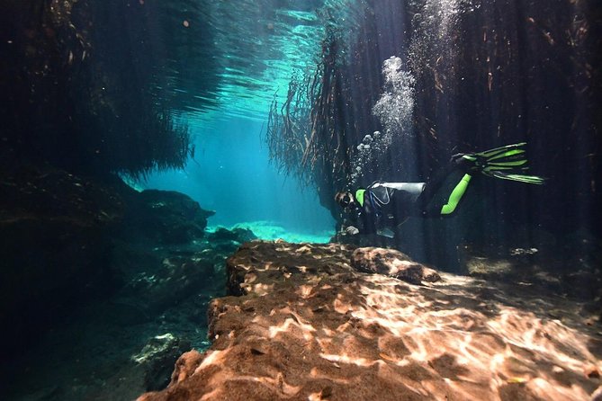 Discover Scuba Diving in Tulum - Practicing skills before going below