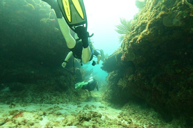 Discover Scuba Diving in Tulum - What the second stop, Casa Cenote, adds