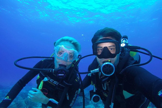 Discover Scuba Diving in Tulum - The 30-minute lesson keeps the first steps simple