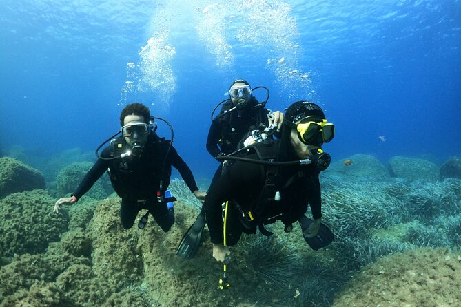 Discover Scuba diving in Villasimius - How this compares with a full qualification