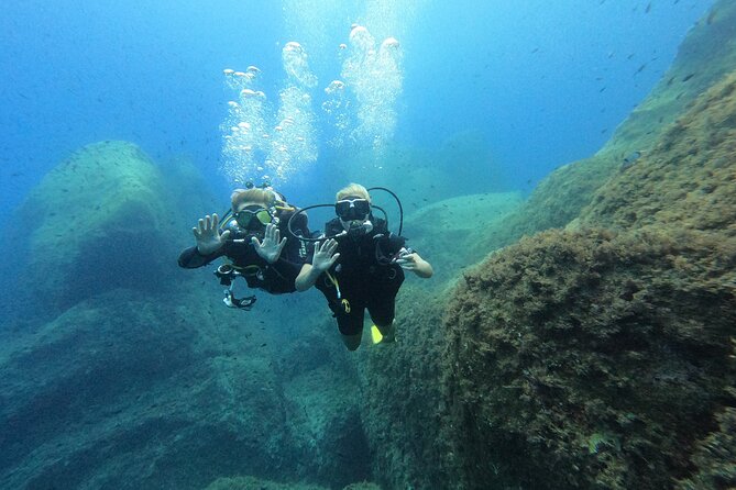 Discover Scuba diving in Villasimius - What you may see below 5 meters