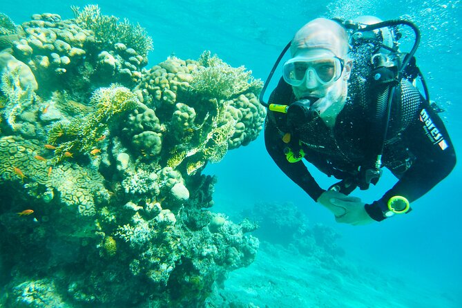 Discover Scuba Diving - Indroductory Dives - The $220 Price: Who Gets Good Value