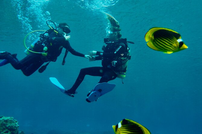Discover Scuba Diving - Indroductory Dives - Cancellation Is Generous, but Watch the Clock