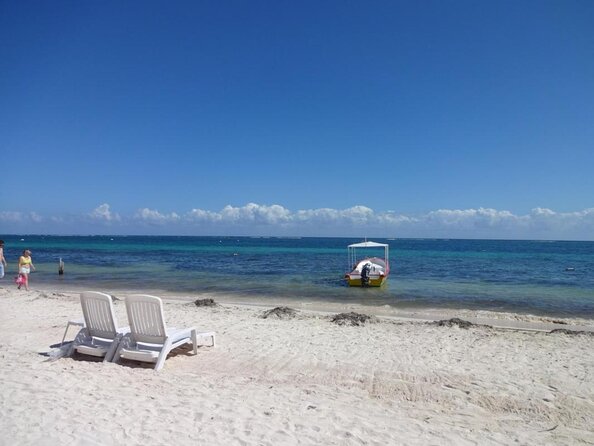 Discover Scuba Diving - One Tank at Coral Reef - Key points at a glance