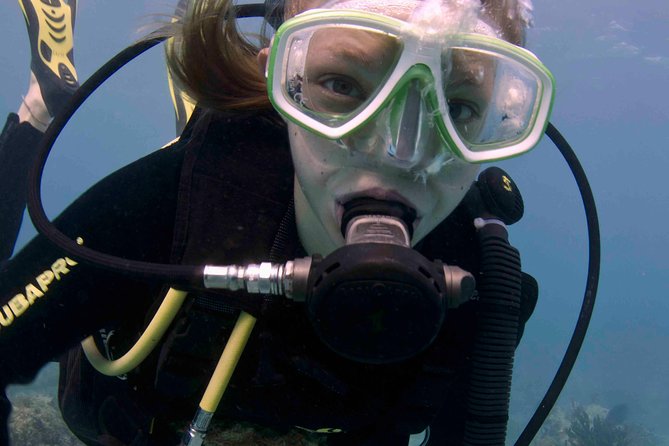 Discover Scuba Diving - One Tank at Coral Reef - Why Puerto Morelos works well for a first scuba session