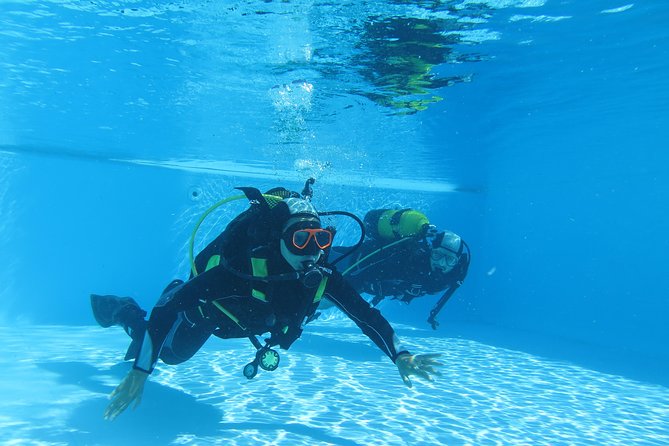Discover Scuba Diving or Try dive - What happens during the three-hour Madeira session