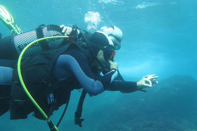 Discover Scuba Diving or Try dive - Equipment, lunch, and what the price covers