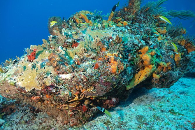 Discover Scuba Diving PADI in Playa del Carmen including underwater video - Why the swimming pool session matters