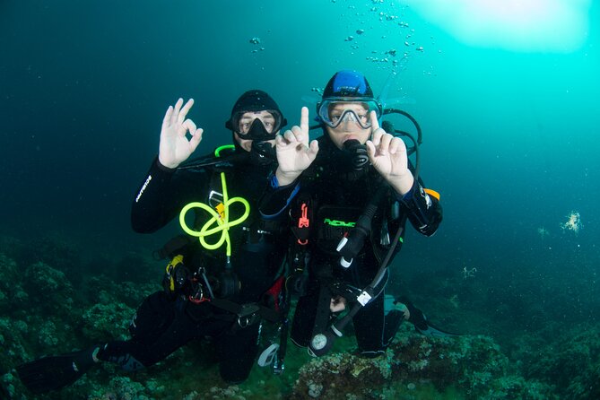 Discover Scuba Diving PADI - Trial dive in Sorrento - What this Sorrento scuba trial actually offers