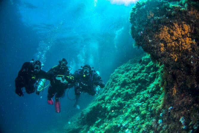Discover Scuba Diving PADI - Trial dive in Sorrento - Meeting at Marina Grande at 3:00 pm