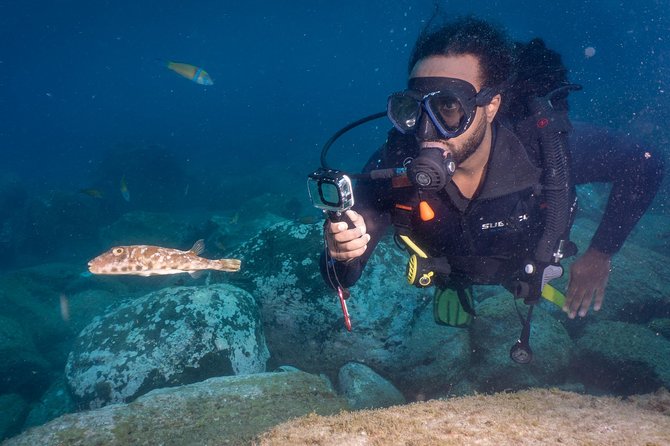 Discover Scuba Diving, Playa de las Americas - Price, timing, and what you receive