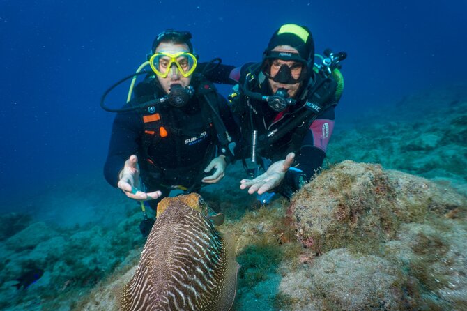 Discover Scuba Diving, Playa de las Americas - Following the breakwater for about 40 minutes